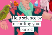 Do you know a parrot that talks or sings?