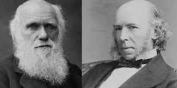 No progress since Darwin and Spencer's time?